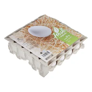 تخم مرغ Fresh بسته 20 عددی گرید A	 - کالای خوراکی و اساسی
