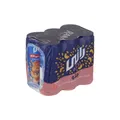 نوشیدنی هلو رانی حاوی تیکه های واقعی میوه - 240 میلی لیتر بسته 6 عددی - کالای خوراکی و اساسی