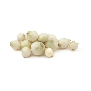 پیاز سفید Fresh مقدار 1 کیلوگرم - کالای خوراکی و اساسی